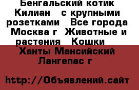 Бенгальский котик Килиан , с крупными розетками - Все города, Москва г. Животные и растения » Кошки   . Ханты-Мансийский,Лангепас г.